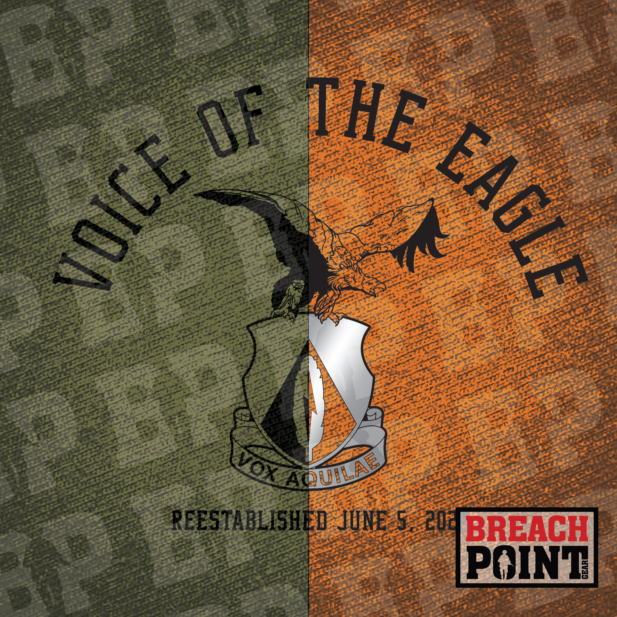 "VOICE OF THE EAGLE" 501st Signal Battalion - Hoodie (A19-2)