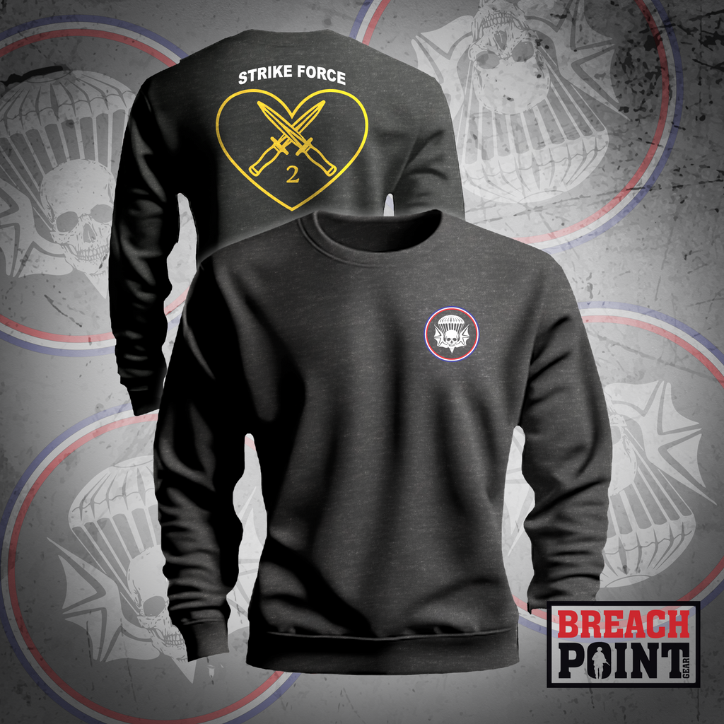 Sweatshirt 502nd Infantry Regiment - 1-502, 2-502, Etc. - Taille XL Gris Clair - Occasion En Parfait état - Style Armée