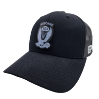 Thumbnail for 503rd Infantry Regiment 