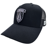 Thumbnail for Security Force Assistance Brigade Patch