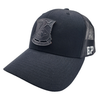 Thumbnail for 101st Airborne Division Sustainment Brigade